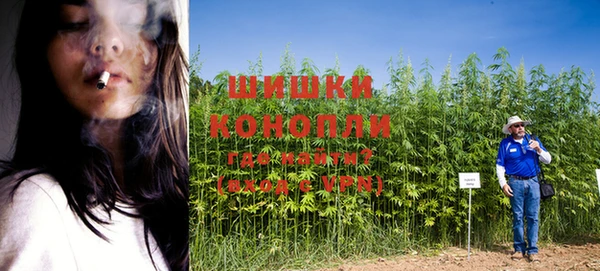ГАЛЛЮЦИНОГЕННЫЕ ГРИБЫ Алексин