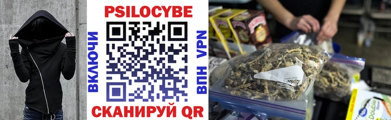 как найти   Любим  Псилоцибиновые грибы ЛСД 