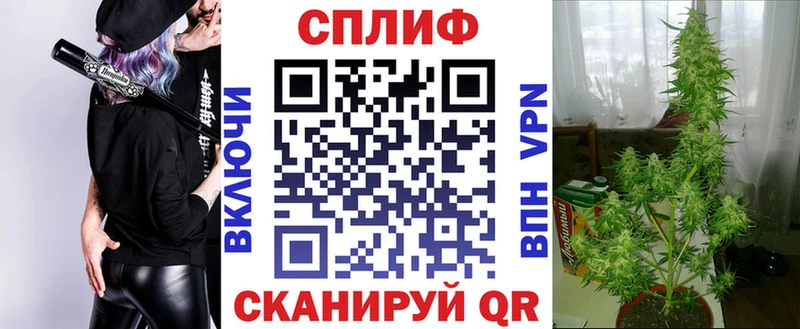 mega вход  Любим  Марихуана гибрид  цены наркотик 